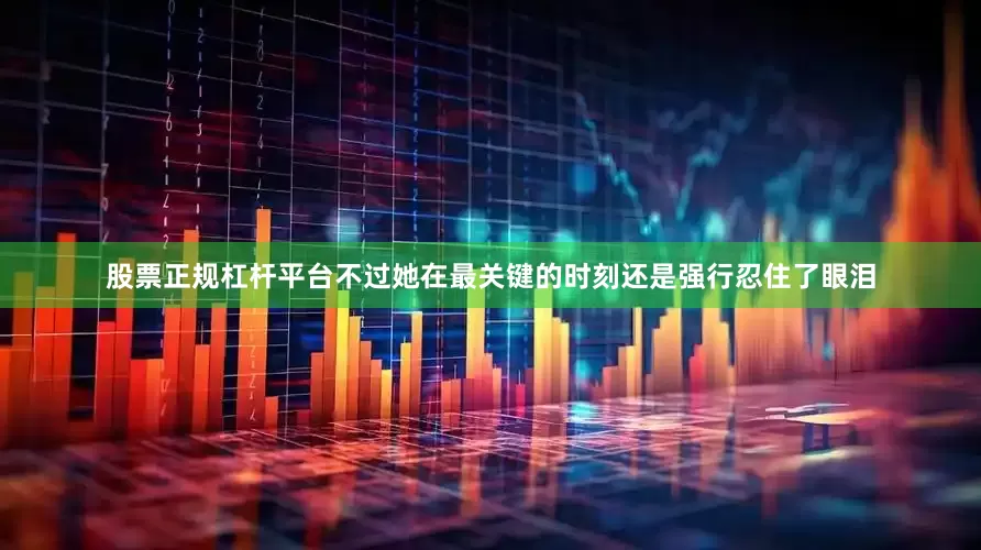 股票正规杠杆平台不过她在最关键的时刻还是强行忍住了眼泪