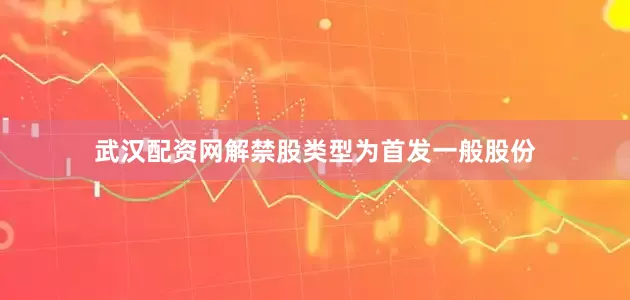 武汉配资网解禁股类型为首发一般股份