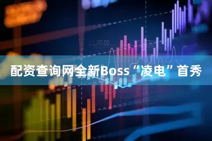 配资查询网全新Boss“凌电”首秀
