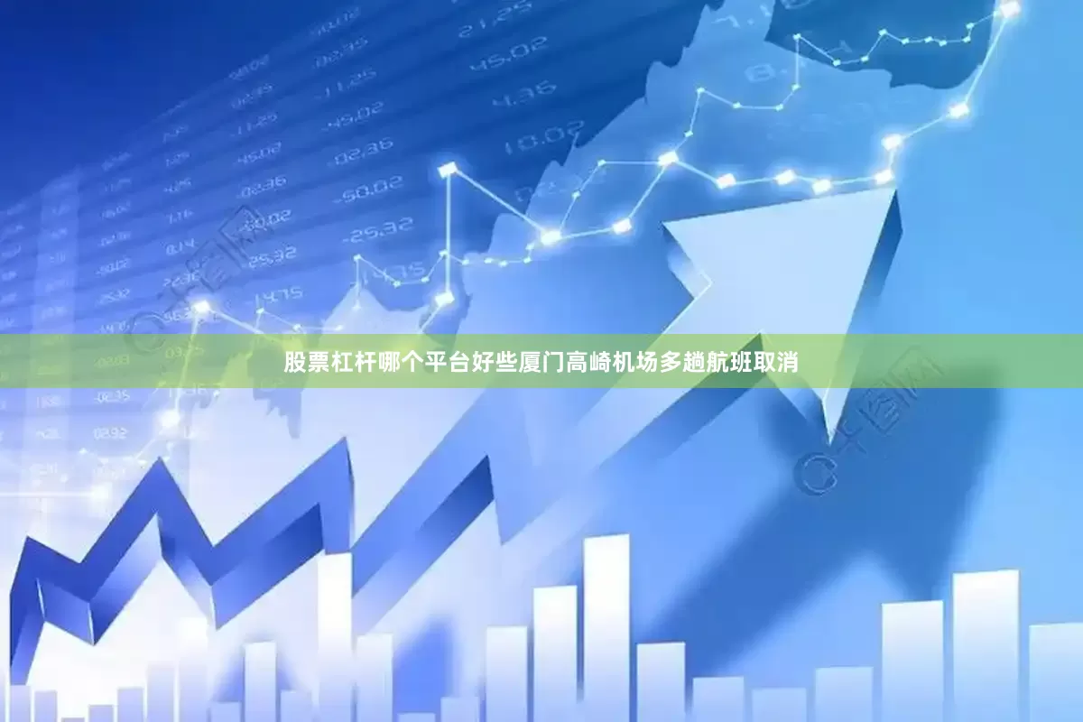 股票杠杆哪个平台好些厦门高崎机场多趟航班取消